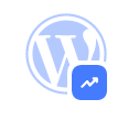 Desempenho do WordPress